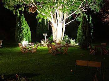Ash House Hotel Martock Zewnętrze zdjęcie